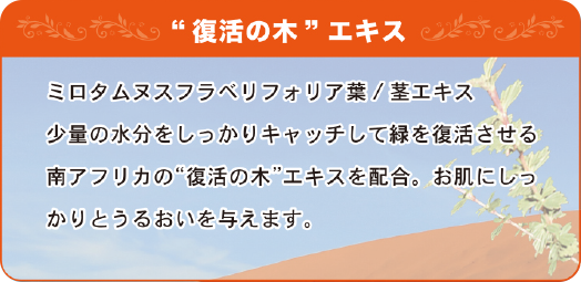 “復活の木”エキス ミロタムヌスフラベリフォリア葉/茎エキス 少量の水分をしっかりキャッチして緑を復活させる南アフリカの“復活の木”エキスを配合。お肌にしっかりとうるおいを与えます。